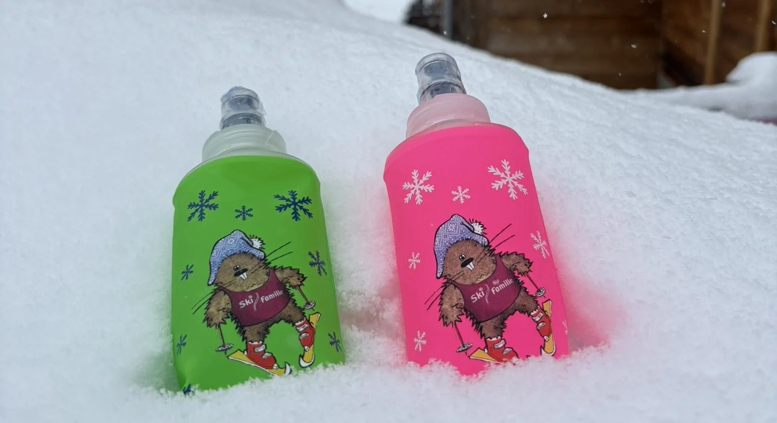 Ski Holidays with Kids Made Easy | Snosip X Ski Famille